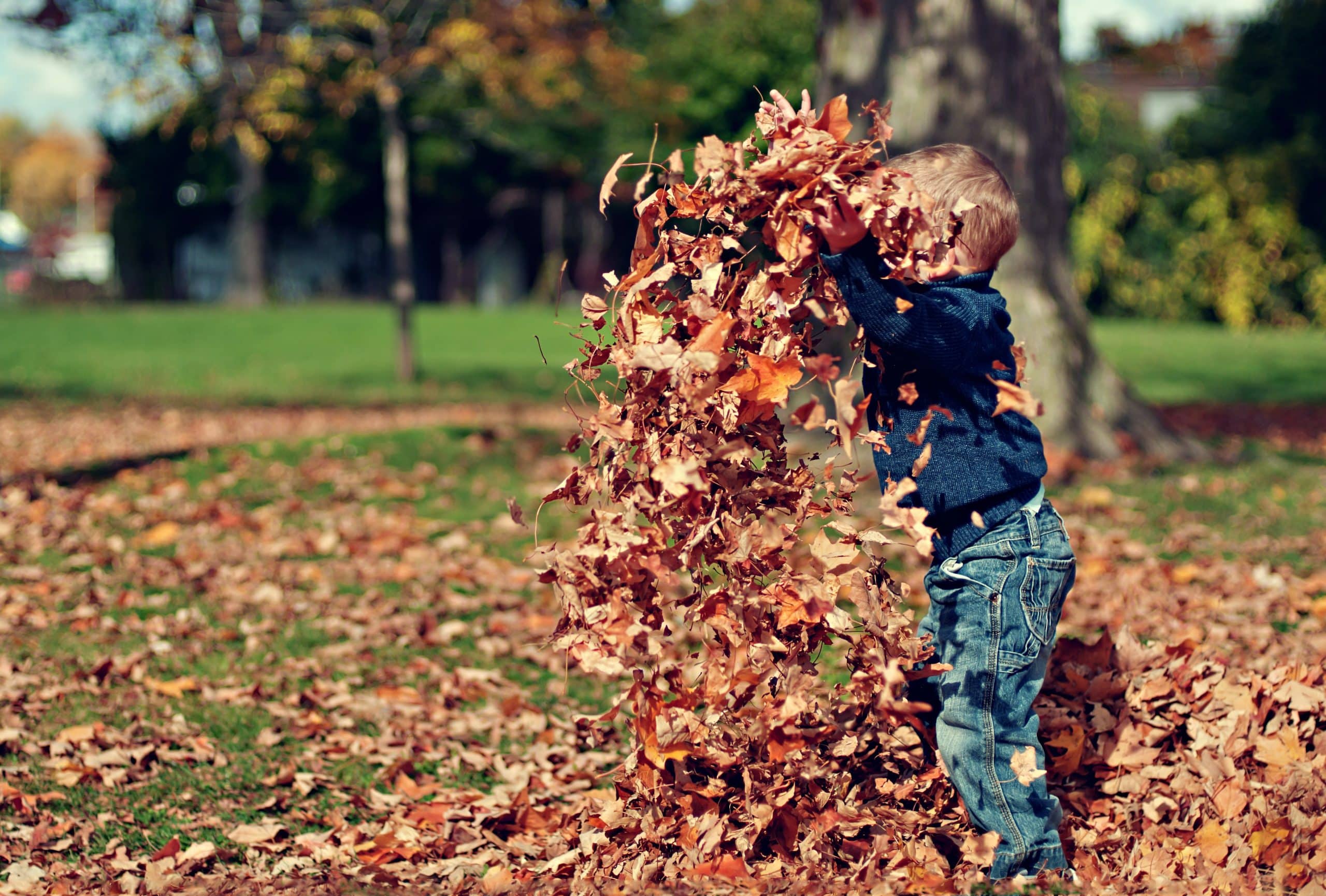Kind spelend in een berg herfstbladeren